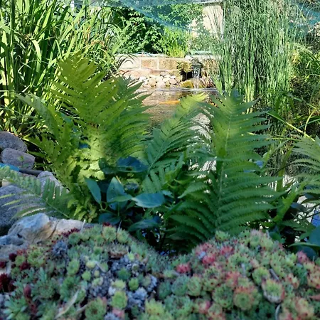 Zur Dorfkirche Ferienhaus Nebra