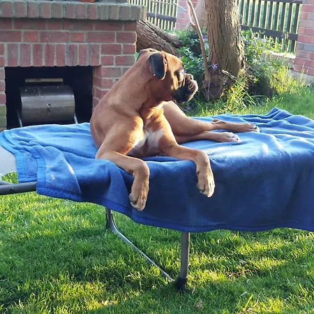 Zur Dorfkirche Ferienhaus